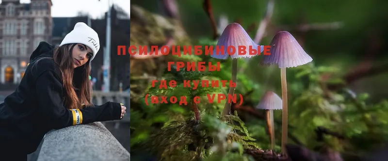 blacksprut как войти  Лакинск  Псилоцибиновые грибы Magic Shrooms  мориарти телеграм  где продают  